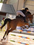 DSC03729 DSC03729