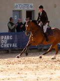 DSC03736 DSC03736