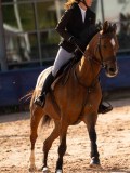 DSC03738 DSC03738