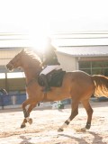 DSC06685