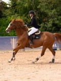 DSC05420 DSC05420