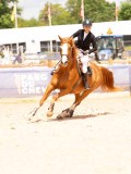 DSC05428 DSC05428
