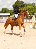 DSC05429 DSC05429