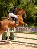DSC05430 DSC05430