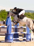 DSC05294 DSC05294