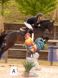 DSC01284 DSC01284