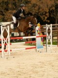 DSC07185 DSC07185