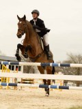 DSC07191 DSC07191