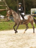 DSC01646 DSC01646