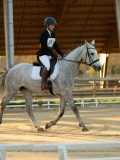 DSC07774 DSC07774