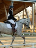 DSC07776 DSC07776