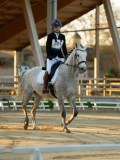 DSC07780 DSC07780