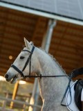 DSC07781 DSC07781
