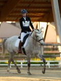 DSC07785 DSC07785