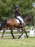 IMG_1044 IMG_1044