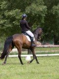 IMG_1045 IMG_1045