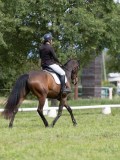 IMG_1046 IMG_1046