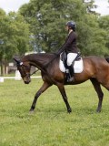 IMG_1048 IMG_1048