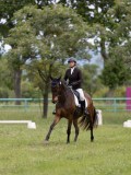 IMG_1050 IMG_1050