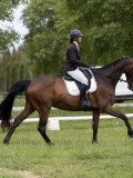 IMG_1054 IMG_1054