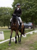 IMG_1058 IMG_1058