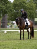 IMG_1060 IMG_1060
