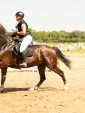 DSC09245 DSC09245