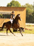 DSC09249 DSC09249