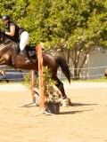 DSC09256 DSC09256