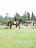 SGE08690