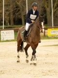 DSC07452 DSC07452