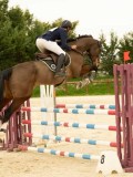 DSC07465 DSC07465