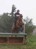 IMG_0219 IMG_0219