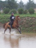 IMG_0224 IMG_0224