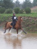 IMG_0225 IMG_0225