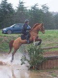 IMG_0230 IMG_0230