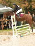 DSC01717 DSC01717