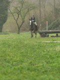 DSC05015 DSC05015