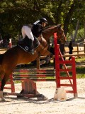 DSC00471 DSC00471