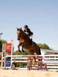DSC00476 DSC00476