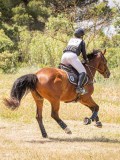 IMG_9527