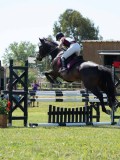 AP102581 AP102581