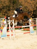 DSC07410 DSC07410