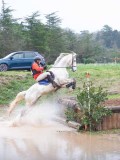 IMG_0406 IMG_0406