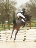 DSC01493 DSC01493