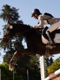 DSC09946 DSC09946