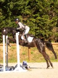 DSC09950 DSC09950