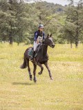 IMG_9611 IMG_9611