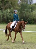 IMG_3176 IMG_3176