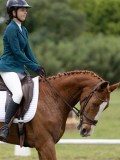 IMG_3177 IMG_3177